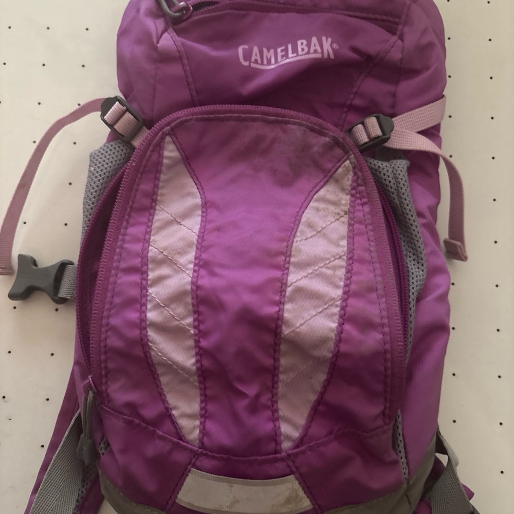 CamelBak Purple Backpack for Women